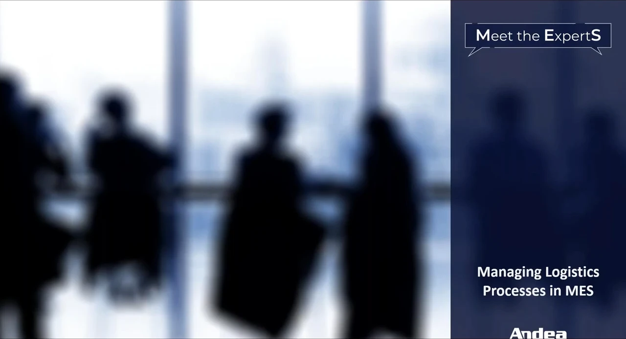 Meet The Experts Managing Logistics Processes In MES 0 8 Screenshot