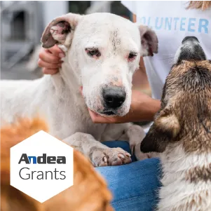 Andeagrants Sep23