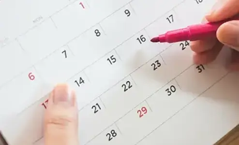 How LAVIGNE Streamlined Production and Improved Customer Satisfaction with DELMIA Ortems