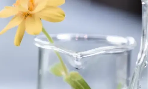 Intelligent planning and scheduling for life science manufacturing excellence