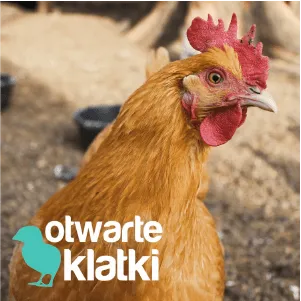 Andea Grants – Animal Protection Organization