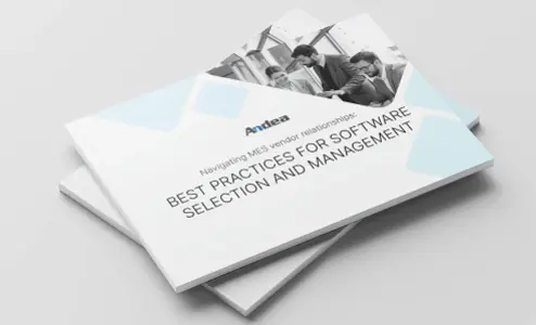 Andea’s guide on MES vendor selection and management