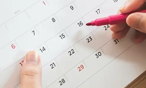 Firma Lavigne zwiększa wydajność swojej produkcji z systemem DELMIA Ortems