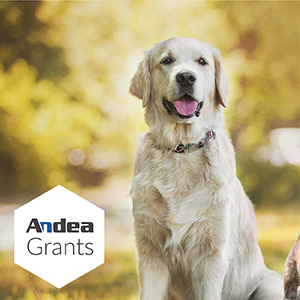 Andeagrants September24