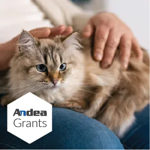 Andeagrants May23